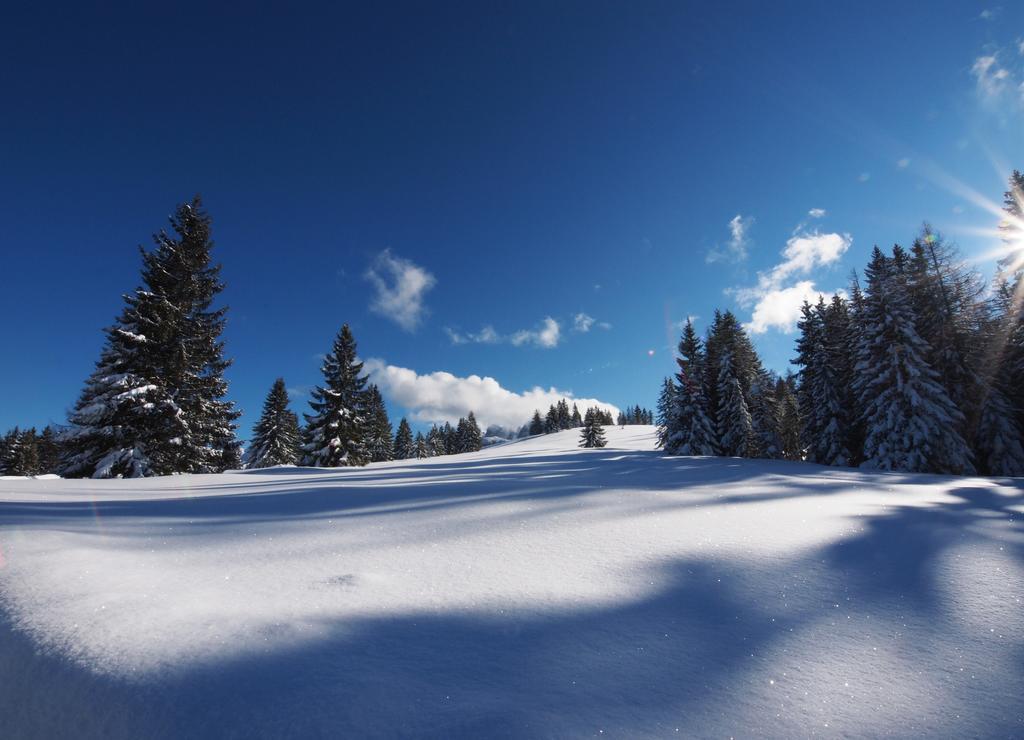 Alpenapartments Unterschlag アンベルク・イム・ランマータール エクステリア 写真